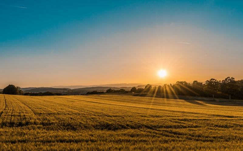 Open land at sunrise, used as an illustration for site search