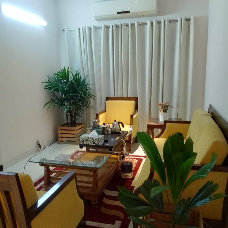 Living room corner decorated with palms and leafy plants